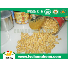 High quality canned Fried & Salted Peanuts ( Roasted & Salted Peanuts)